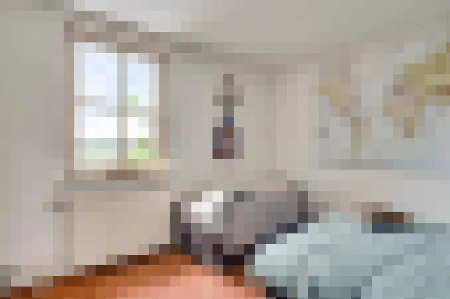 Diamantstraat 36 Neeritter thumbnail 23