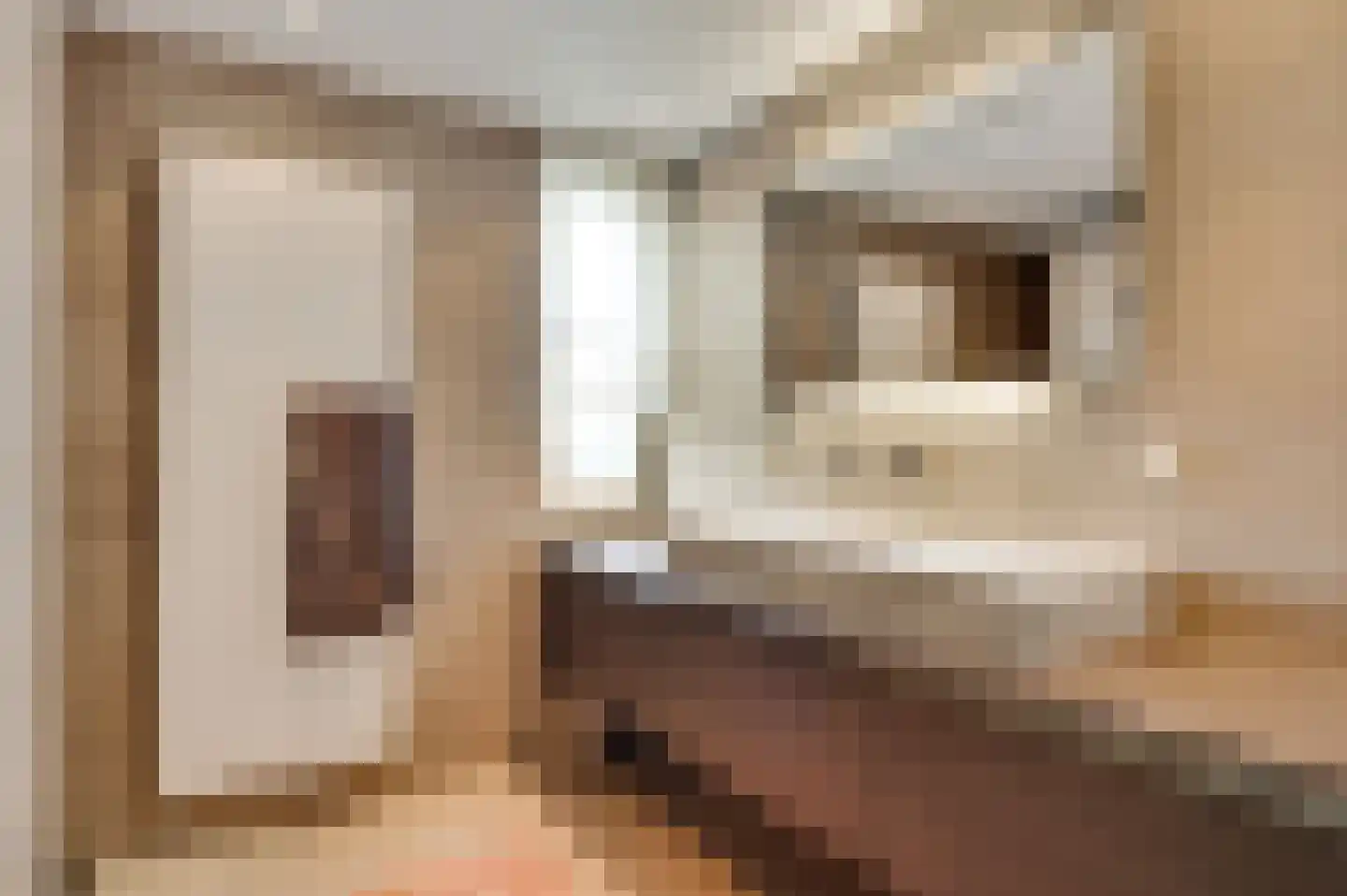 Diamantstraat 36 Neeritter thumbnail 25