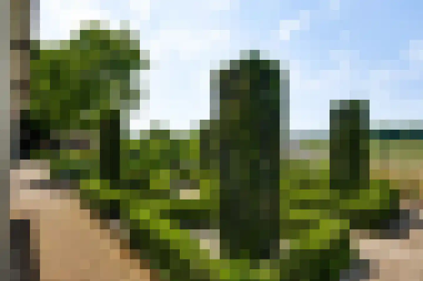 Diamantstraat 36 Neeritter thumbnail 39