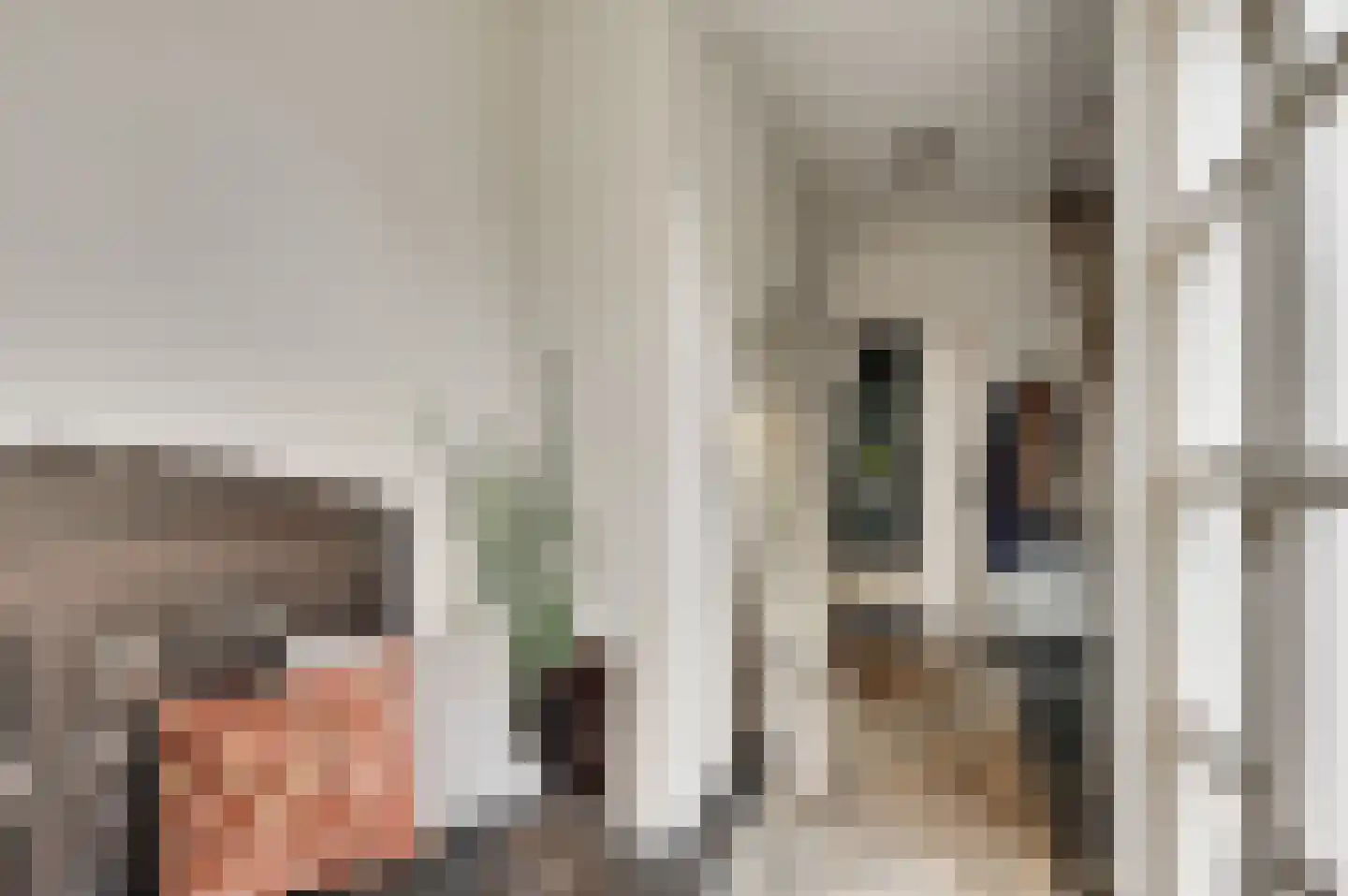 Diamantstraat 36 Neeritter thumbnail 4