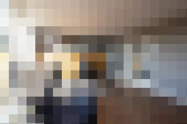 Diamantweg 15 Rotterdam thumbnail 38