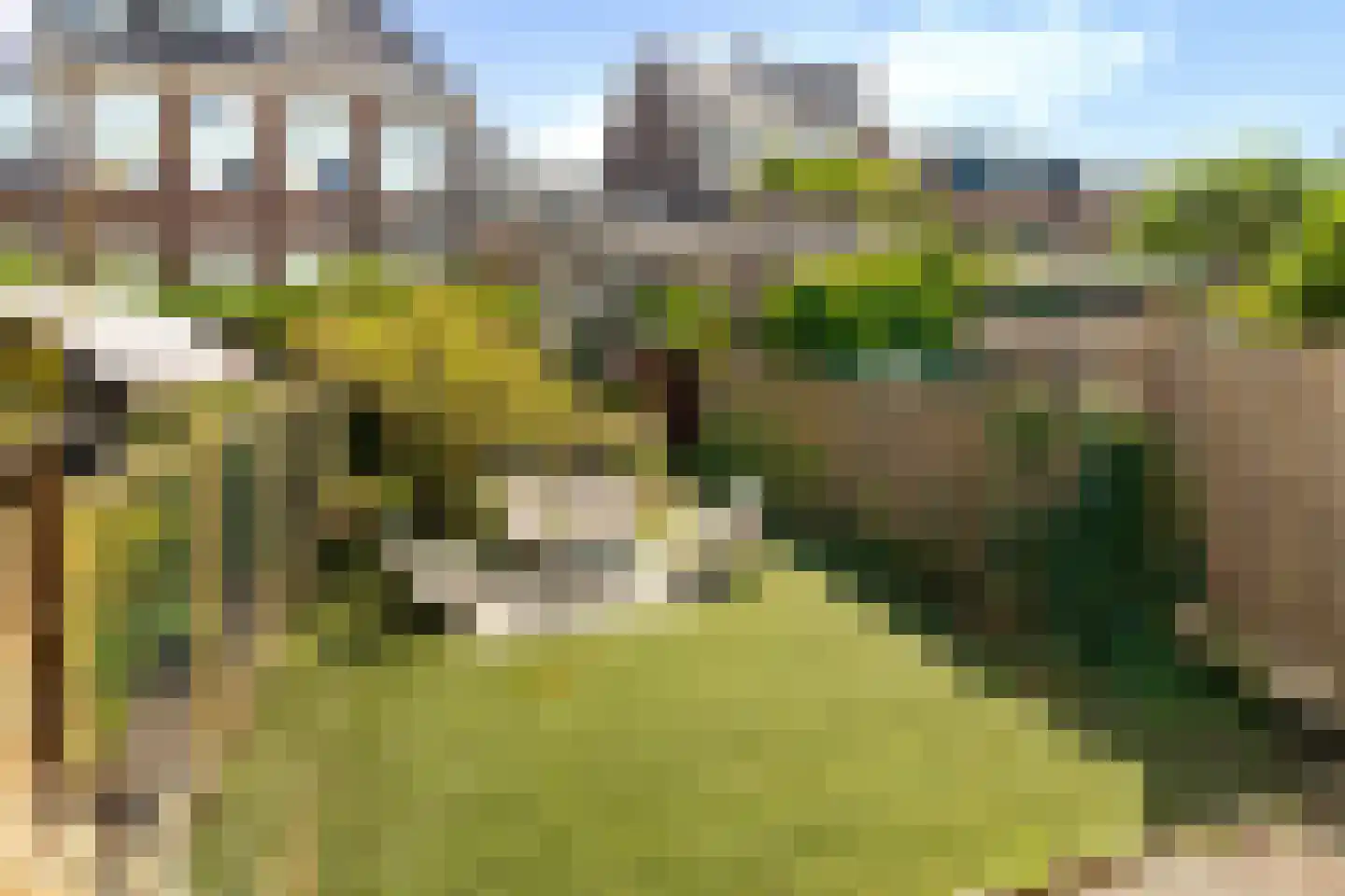 Diamantweg 18 B Rotterdam thumbnail 20