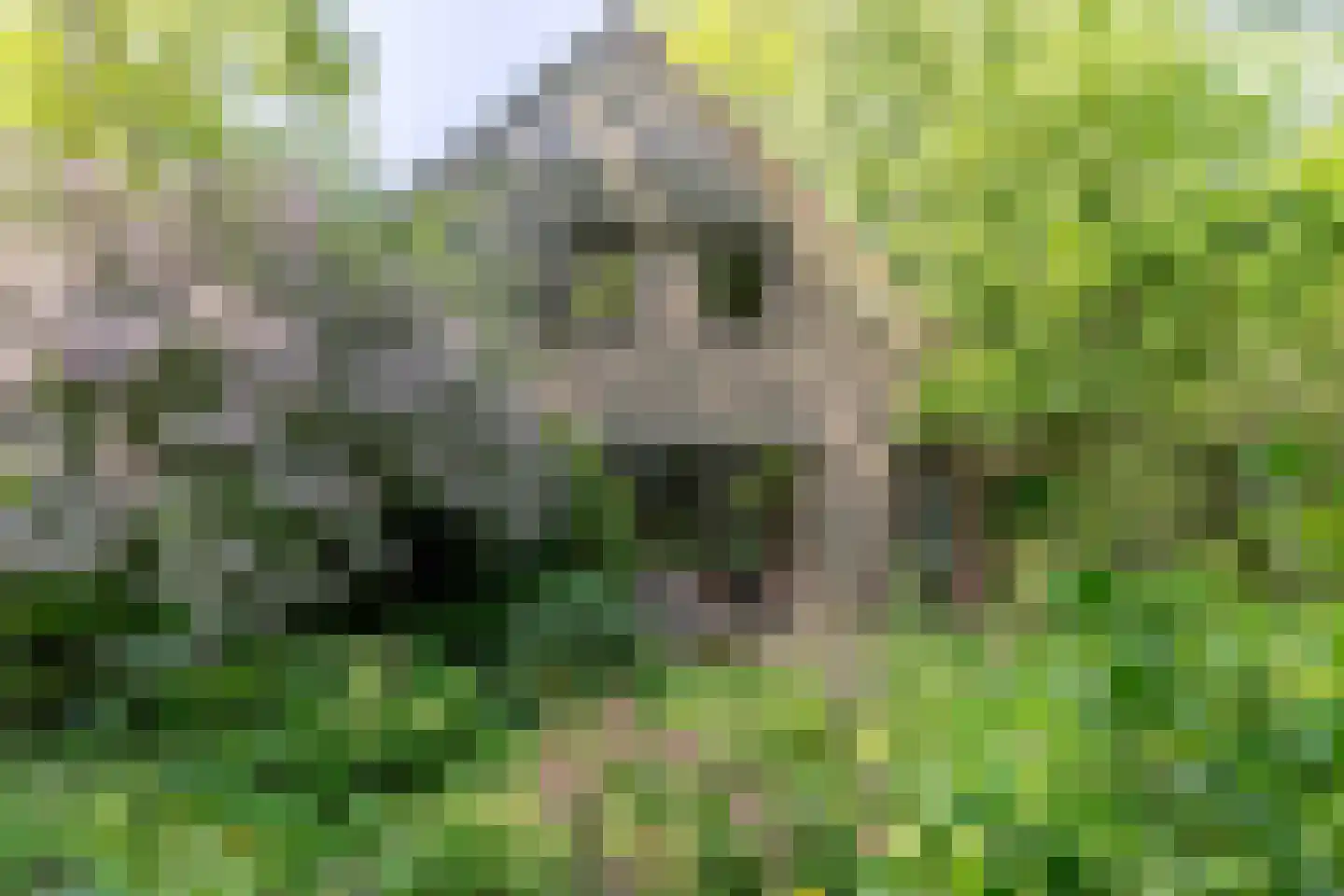 Diamantweg 30 Amersfoort thumbnail 18