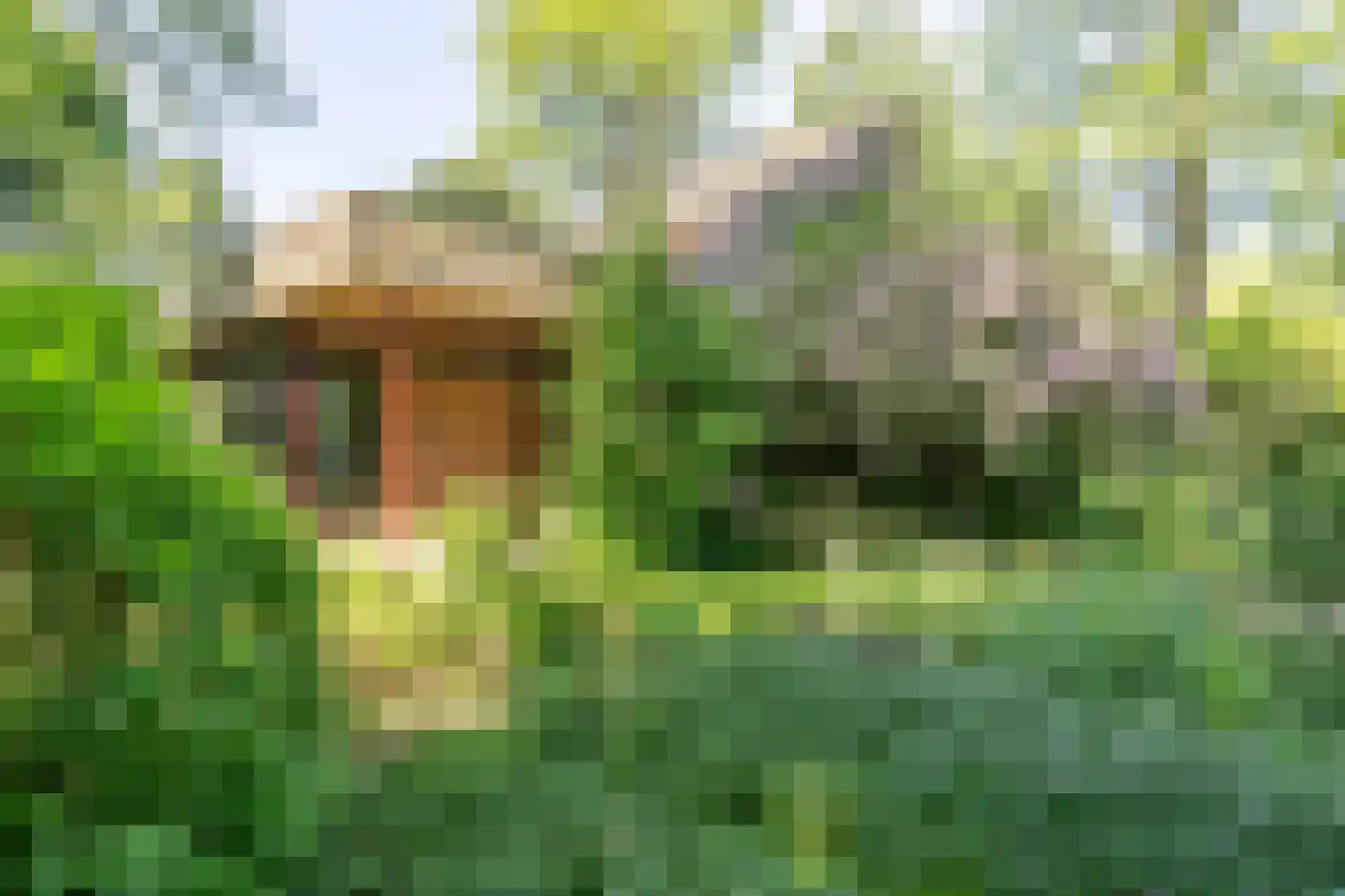 Diamantweg 30 Amersfoort thumbnail 19