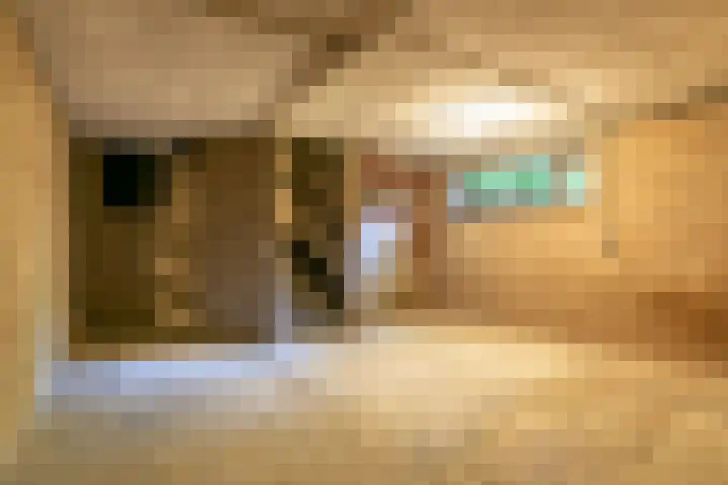 Diamantweg 30 Amersfoort thumbnail 29