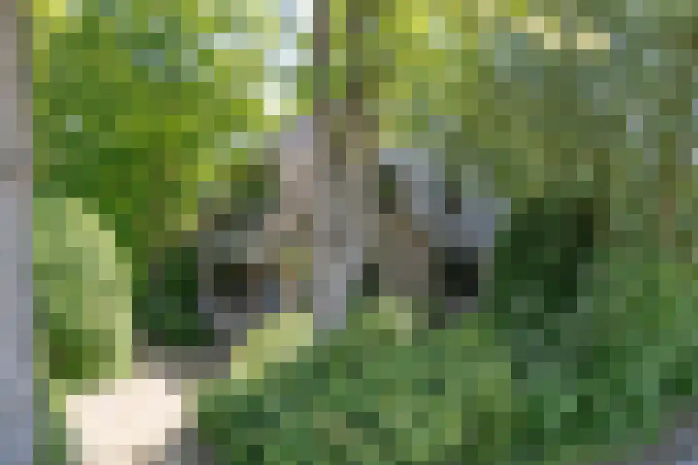Diamantweg 30 Amersfoort thumbnail 31