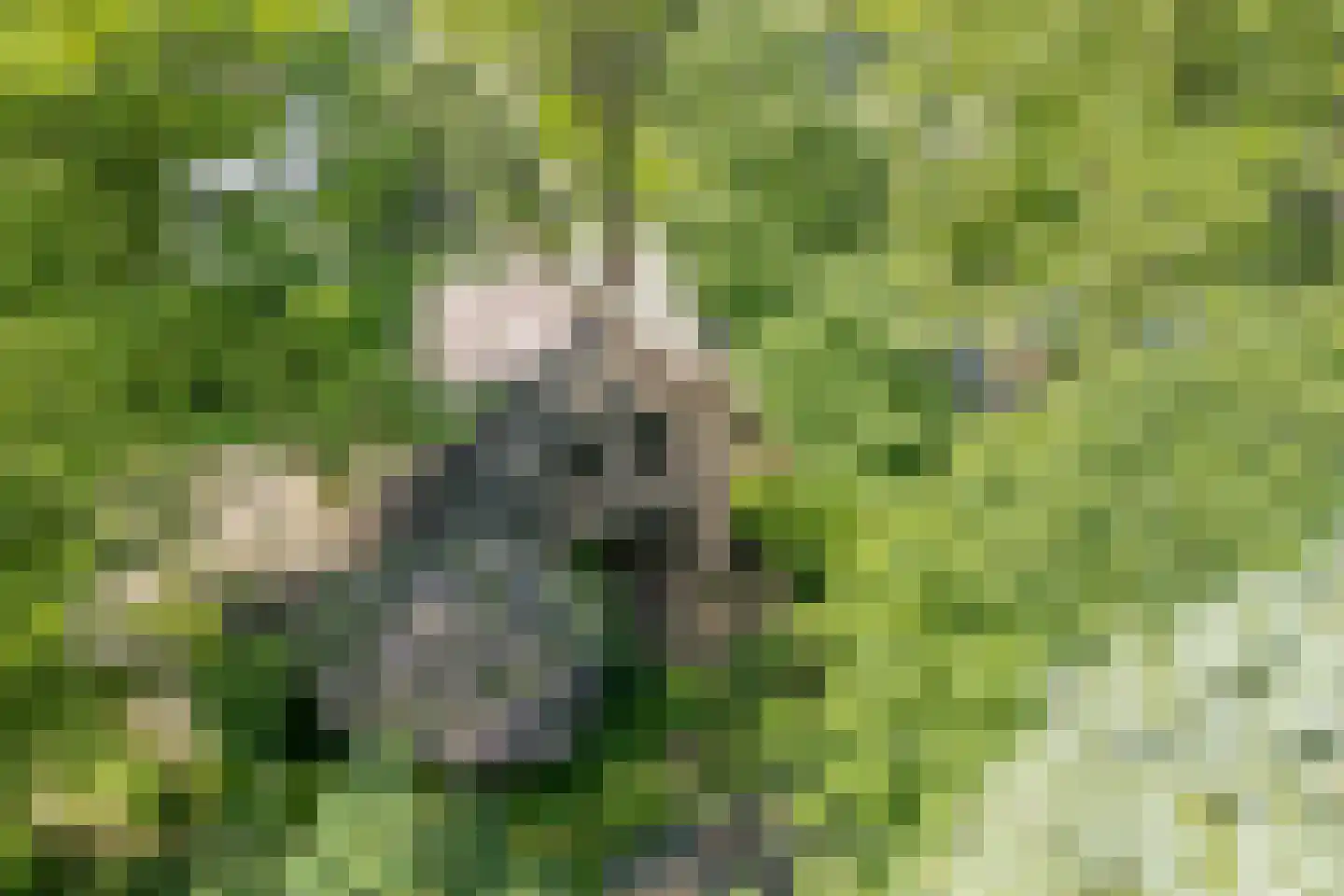 Diamantweg 30 Amersfoort thumbnail 32