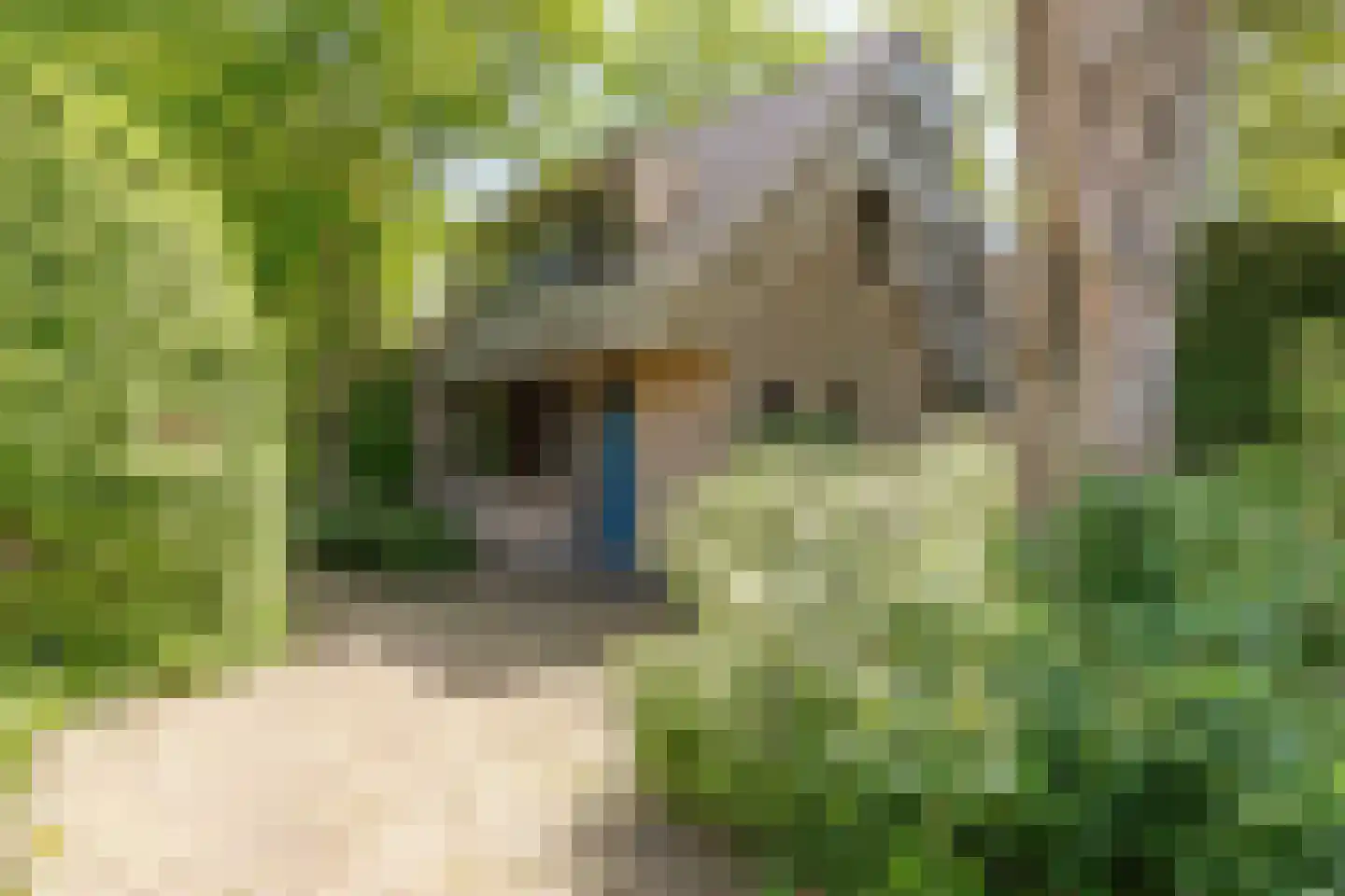 Diamantweg 30 Amersfoort thumbnail 4