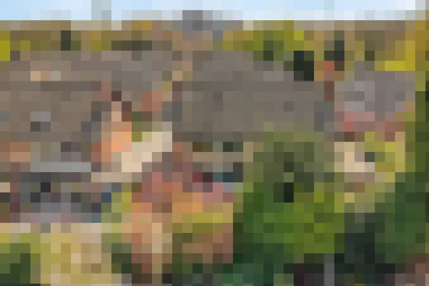 Diamantweg 43 Amersfoort thumbnail 46