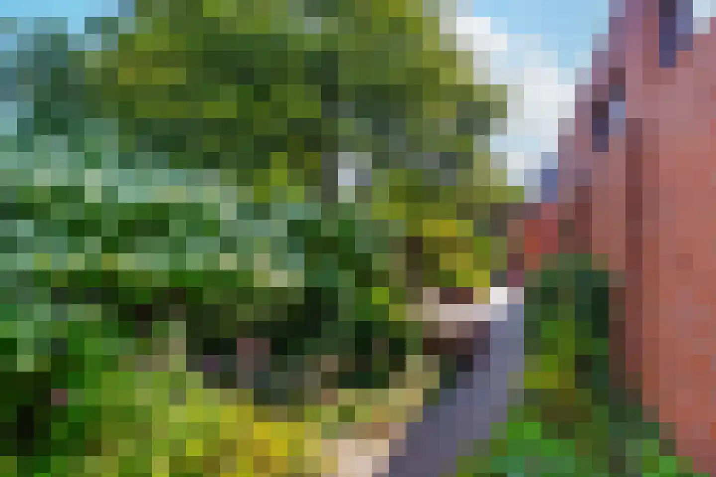 Diamantweg 44 Amersfoort thumbnail 50