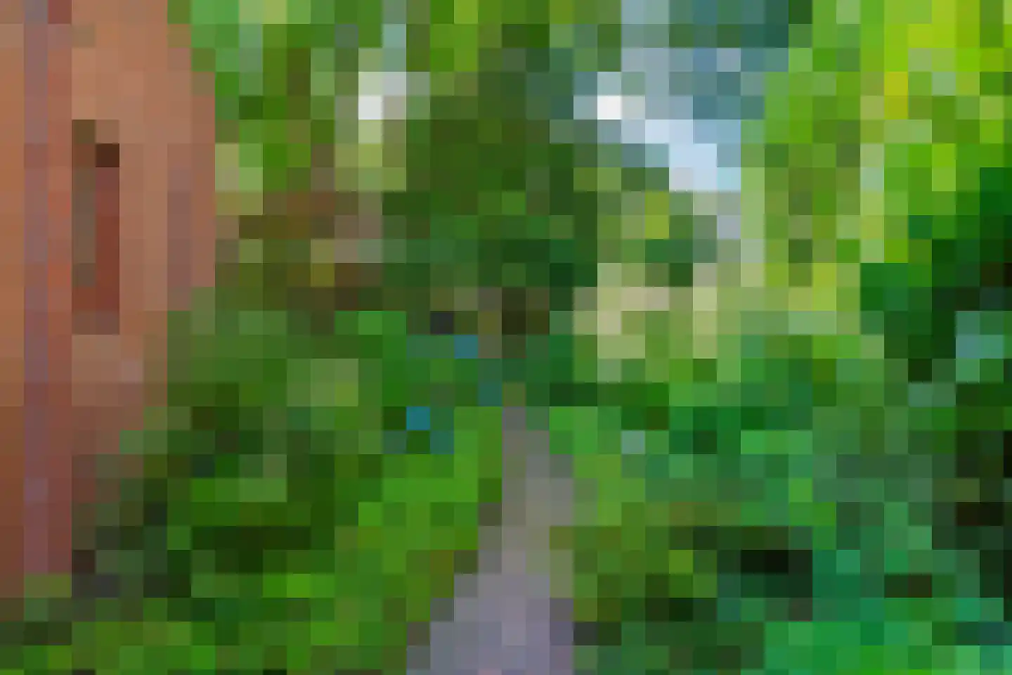 Diamantweg 44 Amersfoort thumbnail 52