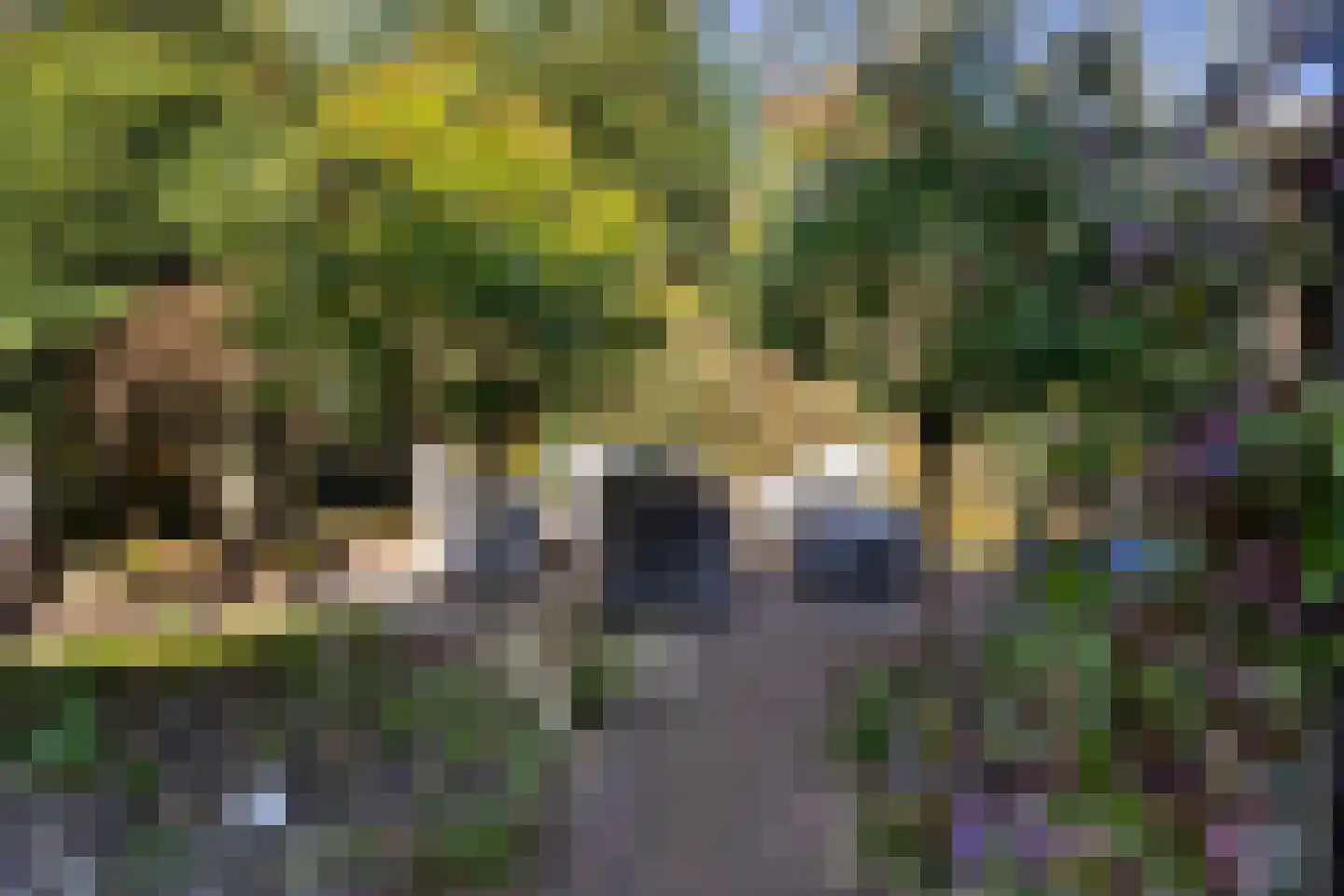 Diamantweg 71 Amersfoort thumbnail 17
