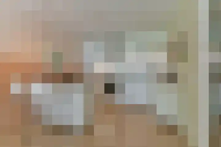Diamantweg 9 Utrecht thumbnail 19