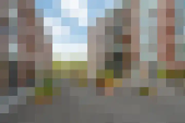 Diamantweg 9 Utrecht thumbnail 35