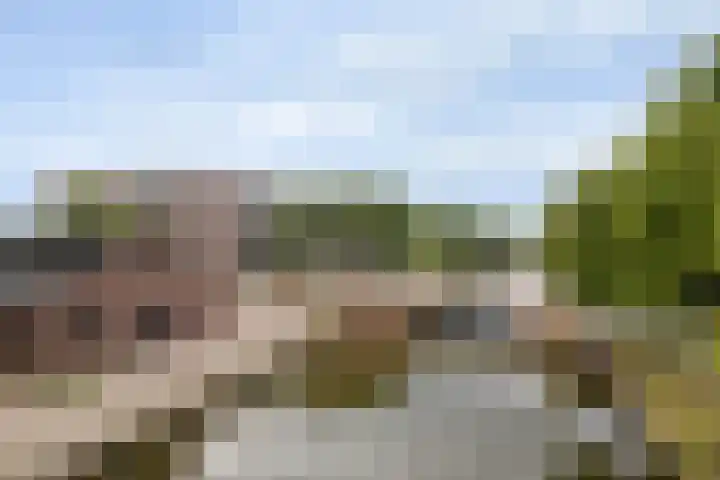 Diamantweg 9 Utrecht thumbnail 36