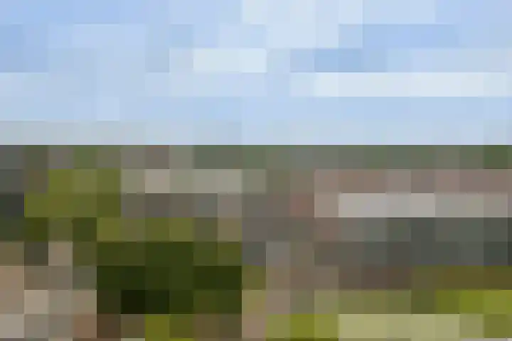Diamantweg 9 Utrecht thumbnail 38