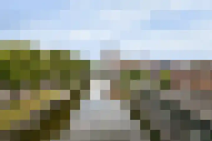 Diamantweg 9 Utrecht thumbnail 39