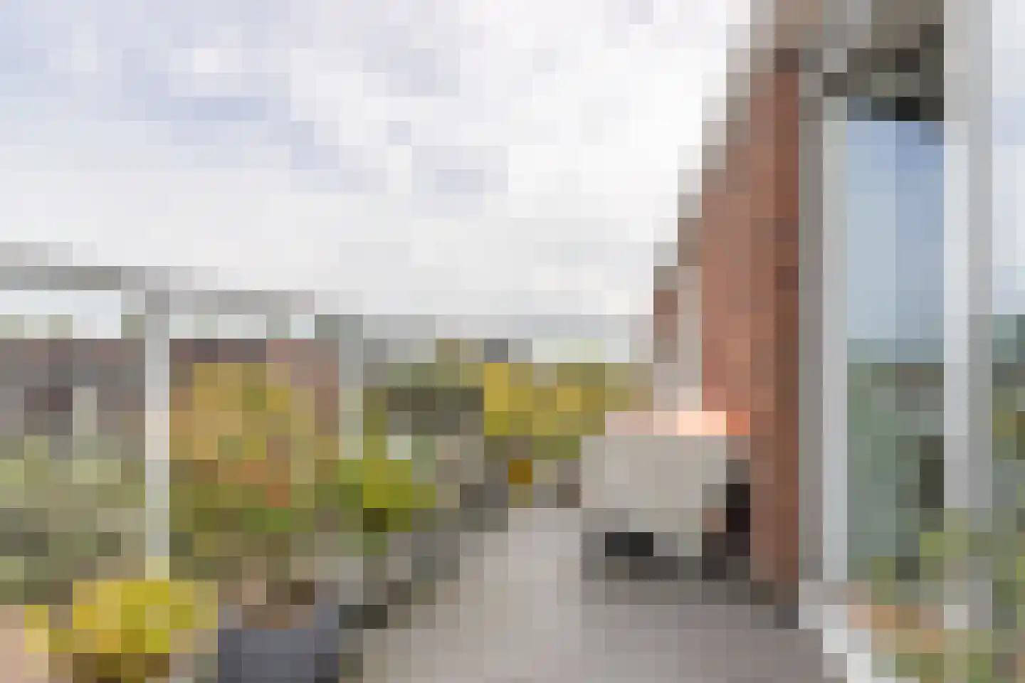 Diamantweg 97 Utrecht thumbnail 13