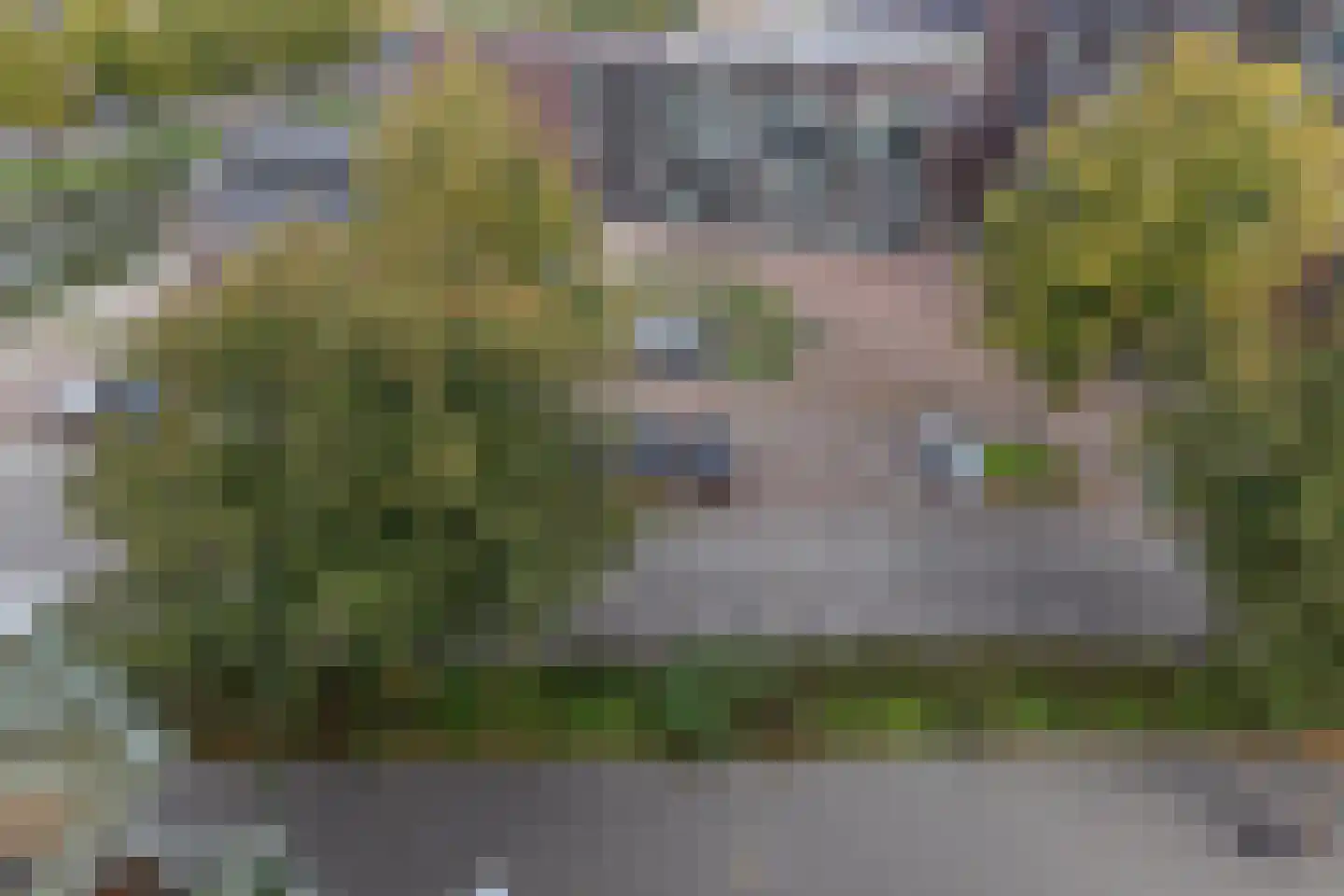 Diamantweg 97 Utrecht thumbnail 15