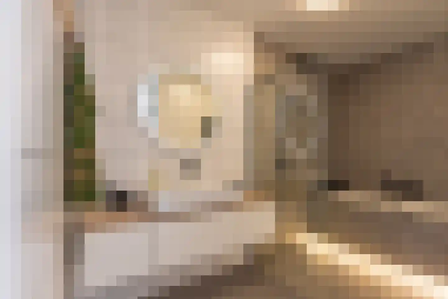 Diamantweg 97 Utrecht thumbnail 26