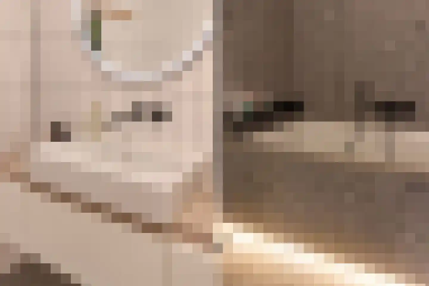Diamantweg 97 Utrecht thumbnail 28