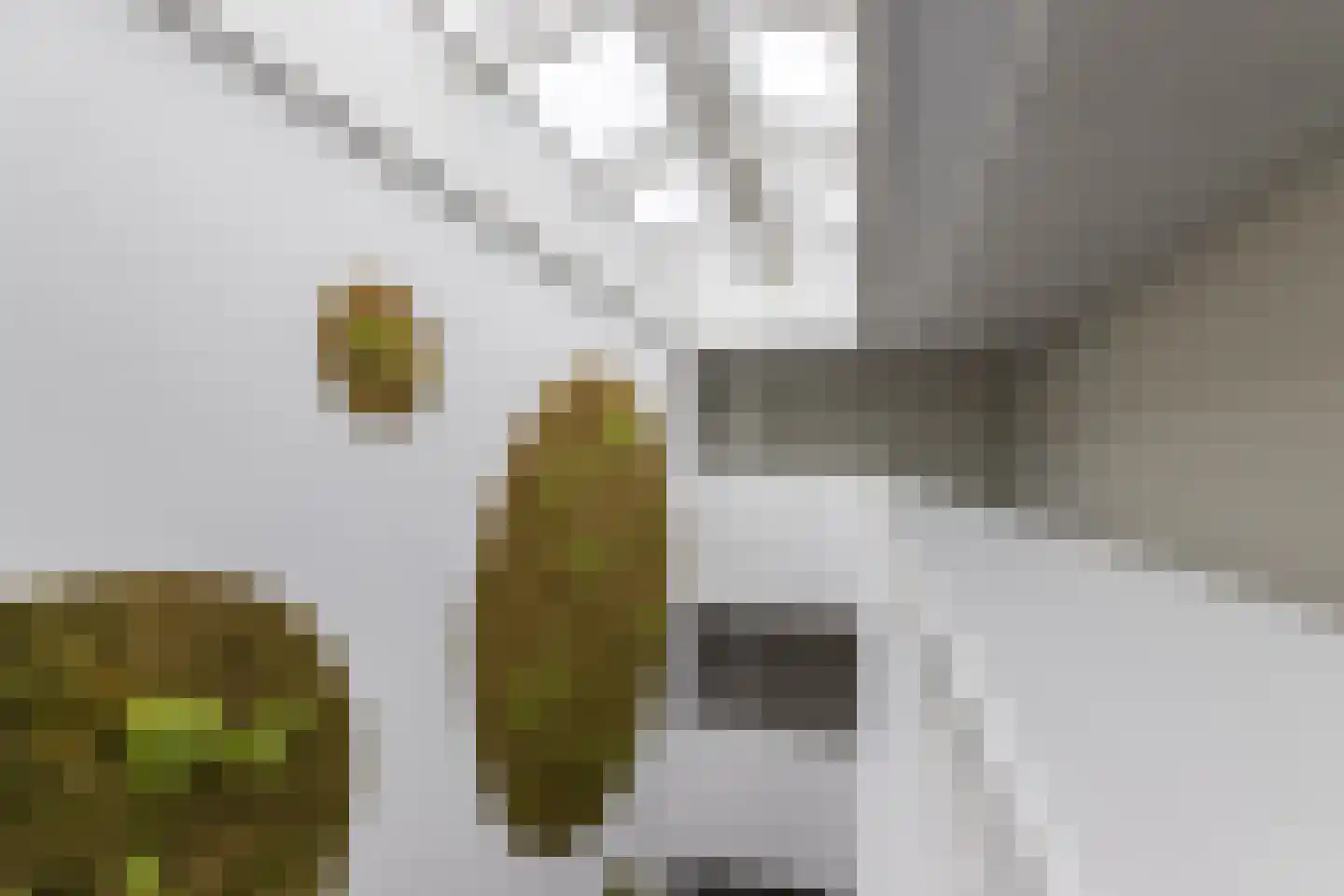 Diamantweg 97 Utrecht thumbnail 33