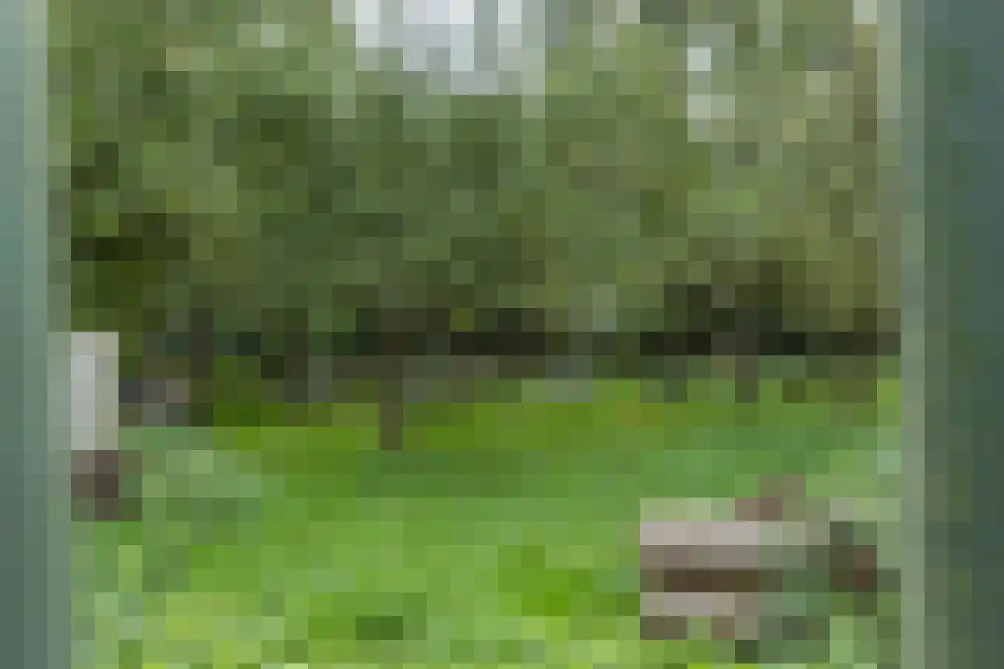 Diamantweg 97 Utrecht thumbnail 45