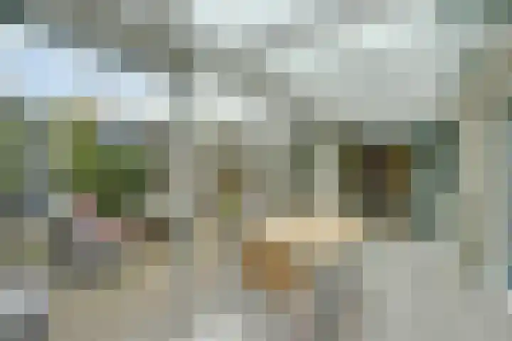 Diana 23 Bemmel thumbnail 18