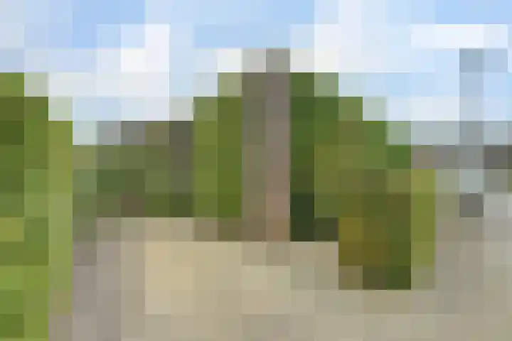 Diana 23 Bemmel thumbnail 31
