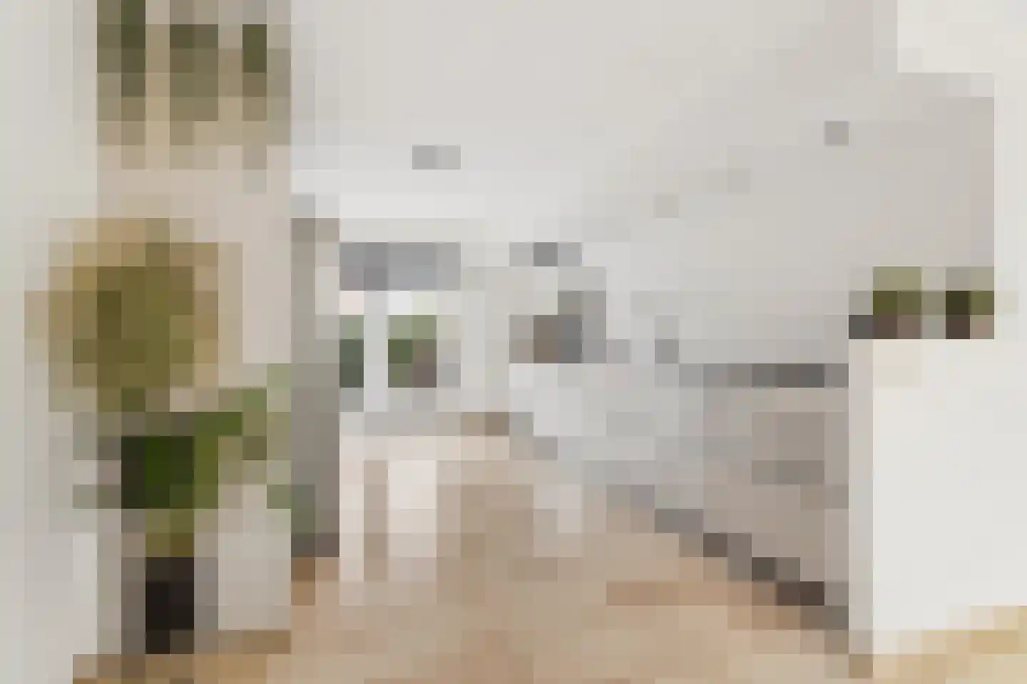 Diana 4 Bemmel thumbnail 10