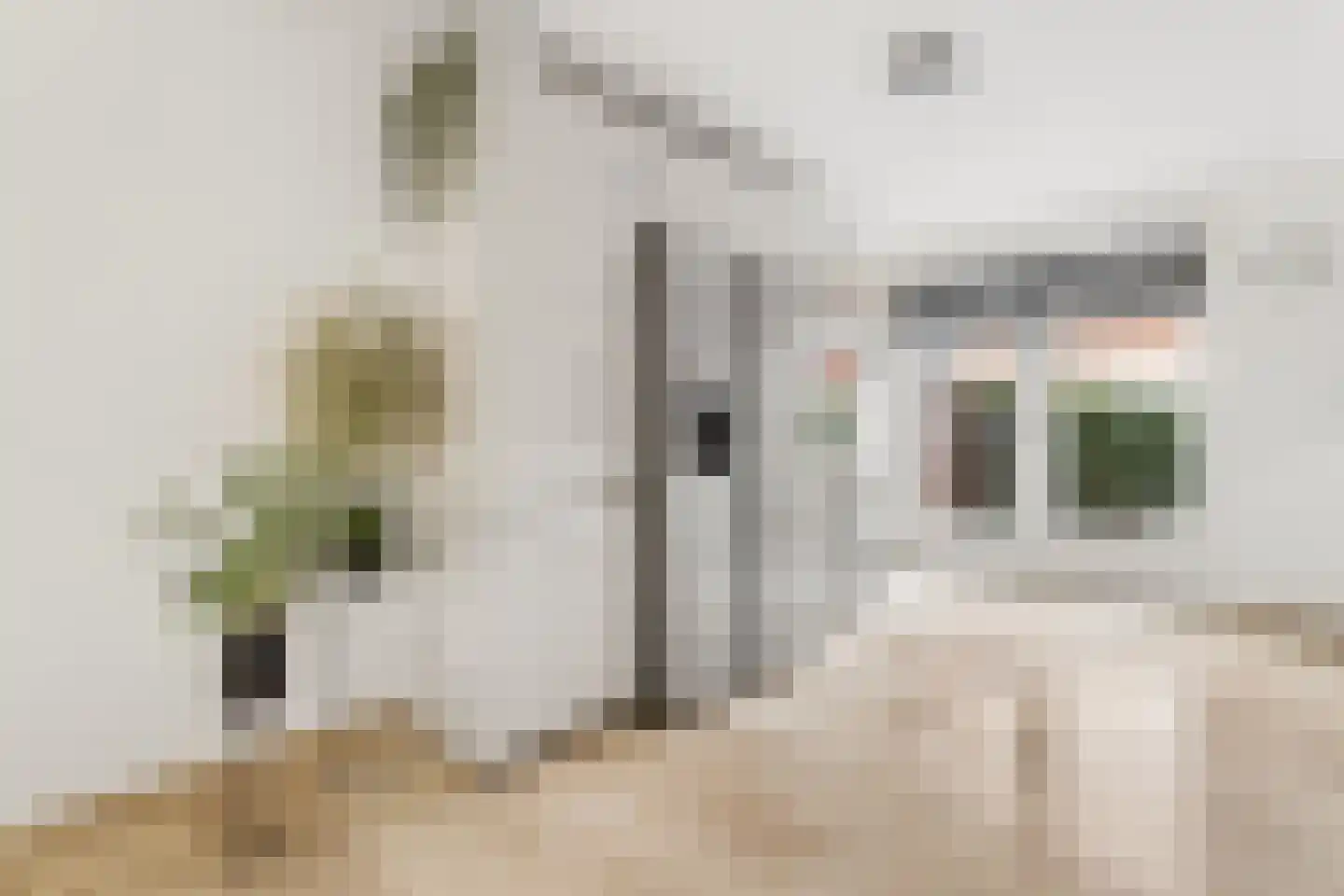 Diana 4 Bemmel thumbnail 11