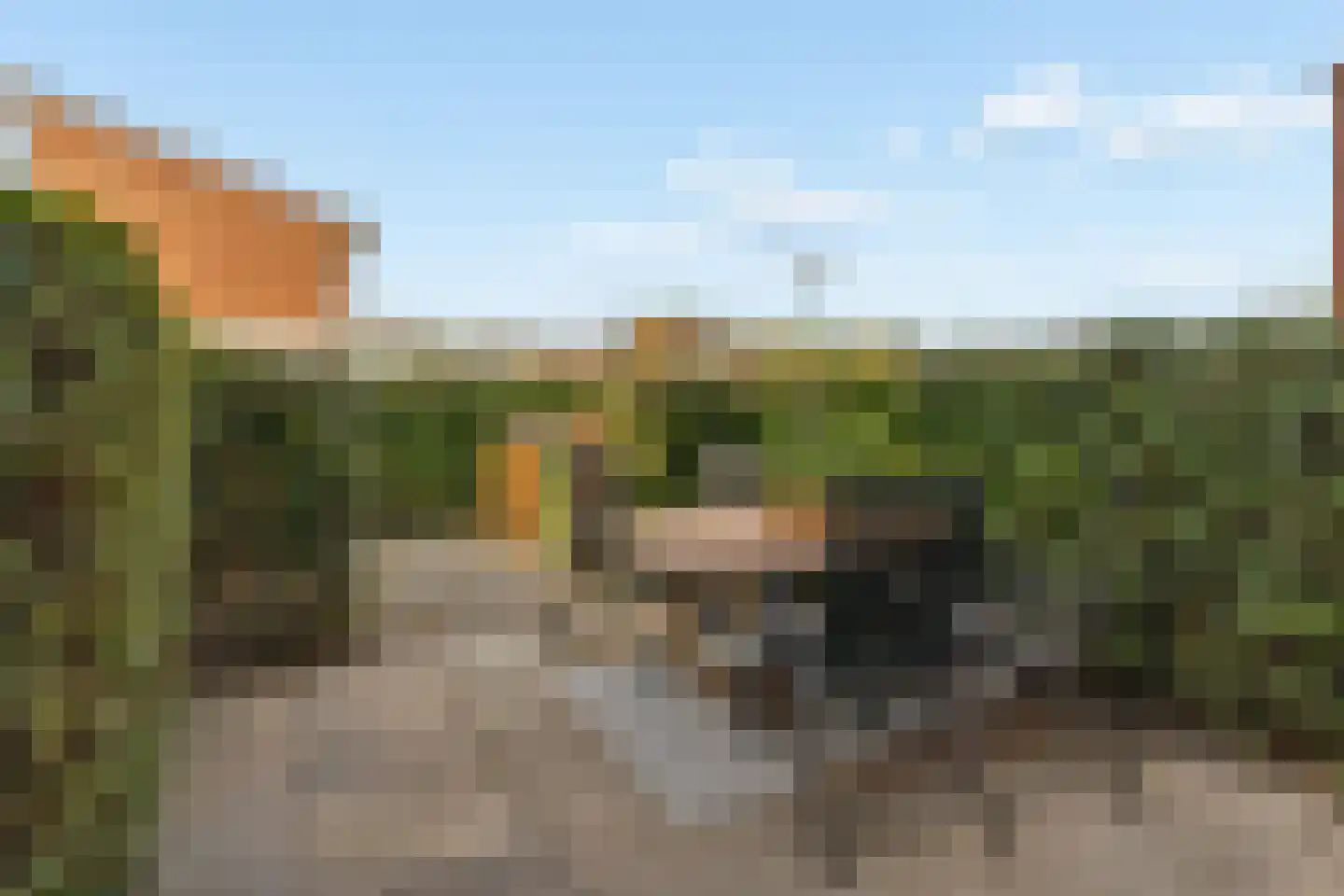 Diana 4 Bemmel thumbnail 13