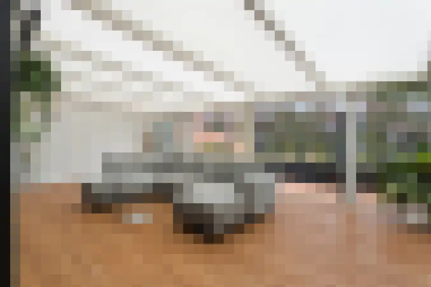 Diana 4 Bemmel thumbnail 17