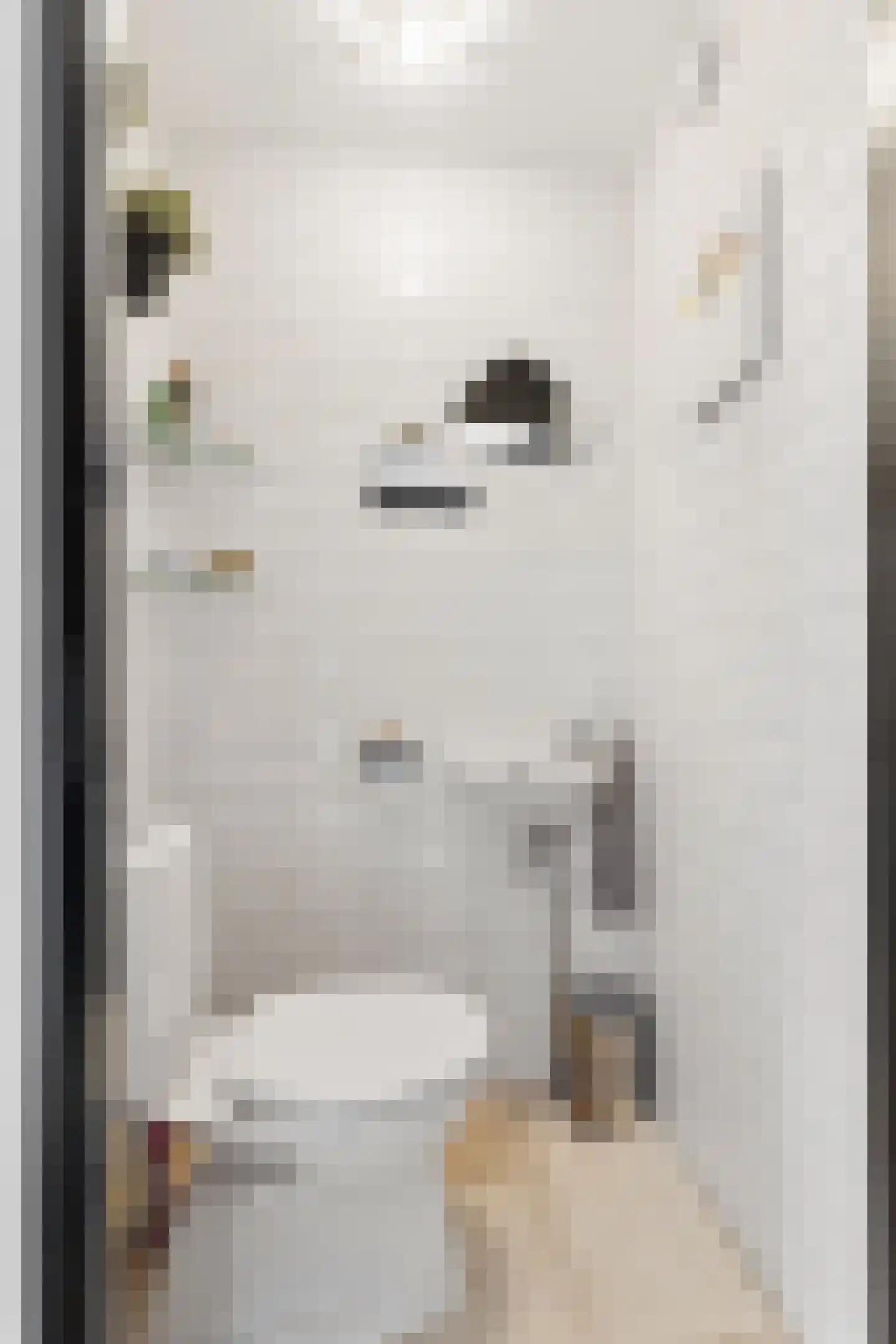Diana 4 Bemmel thumbnail 20