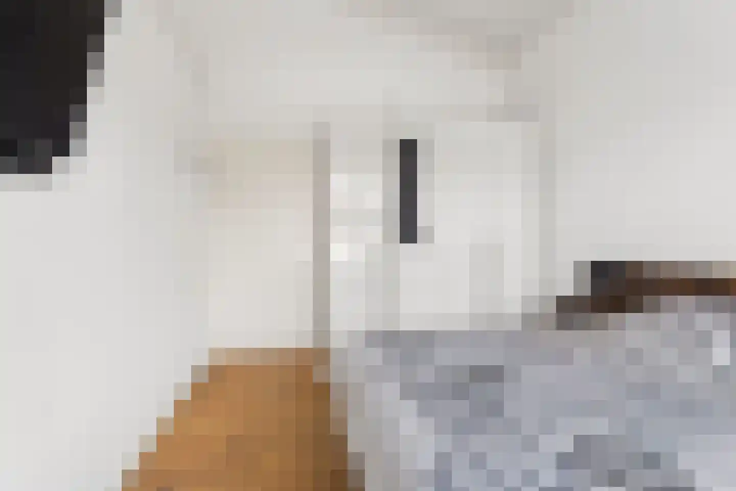 Diana 4 Bemmel thumbnail 25