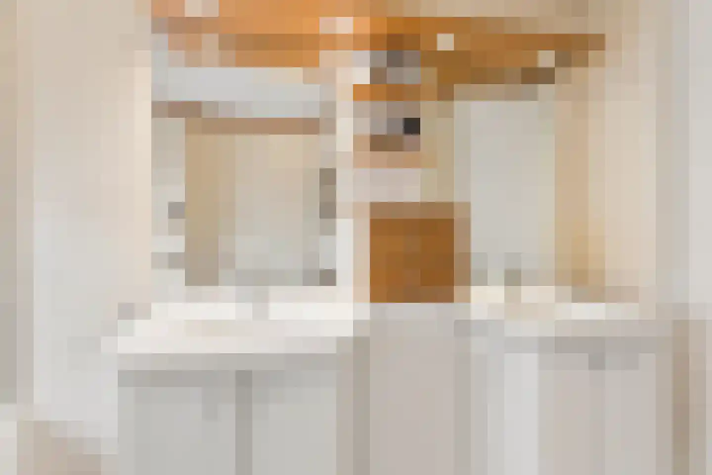 Diana 4 Bemmel thumbnail 31