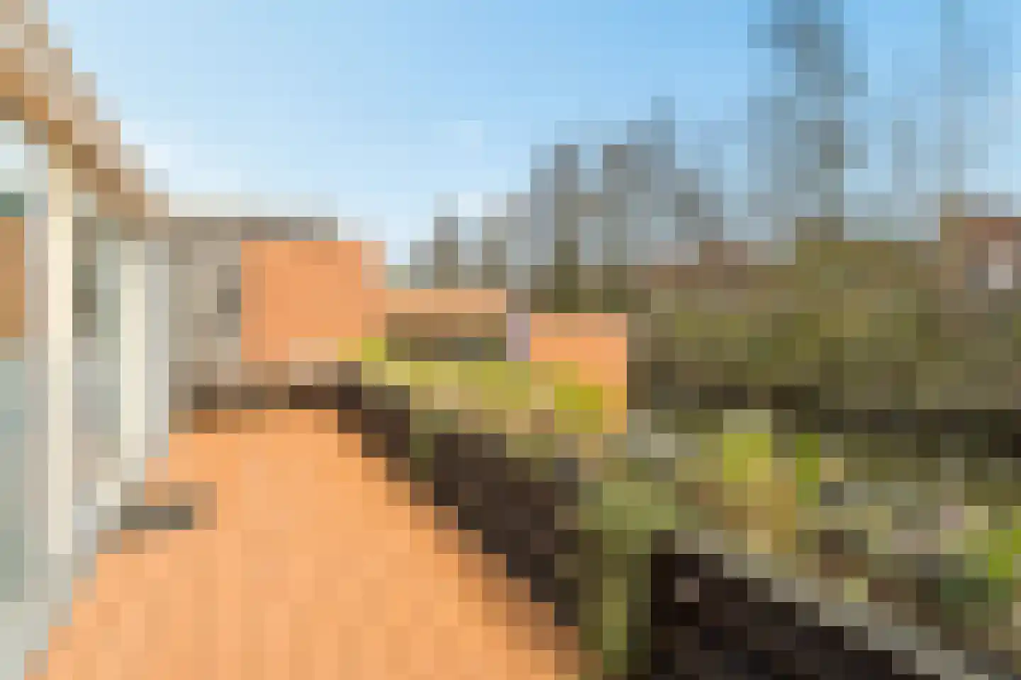 Diana 4 Bemmel thumbnail 44