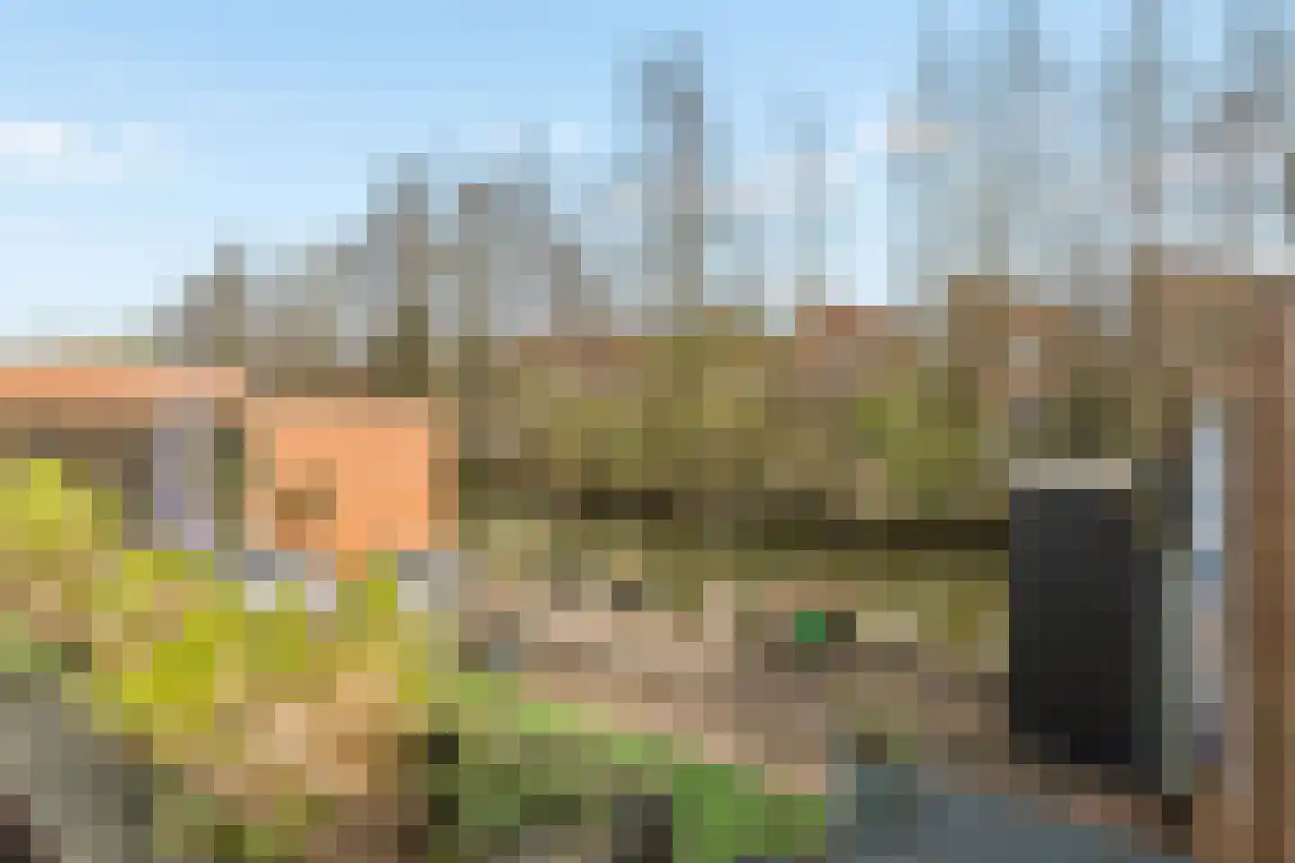 Diana 4 Bemmel thumbnail 45