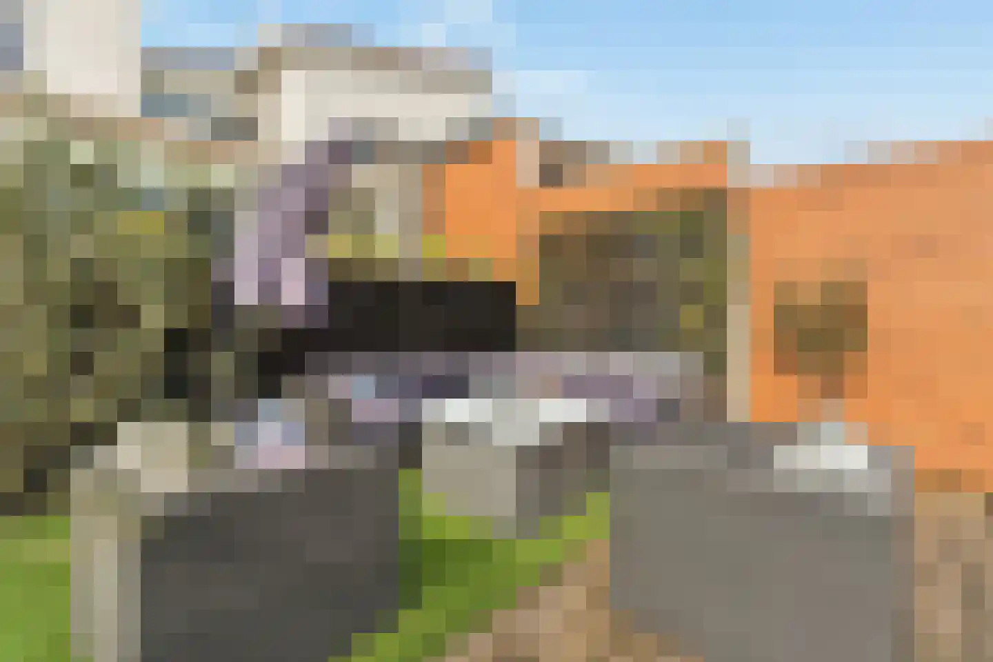 Diana 4 Bemmel thumbnail 47