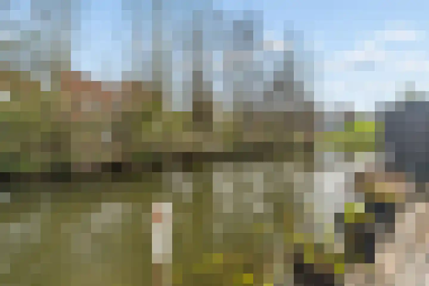 Diana 4 Bemmel thumbnail 49