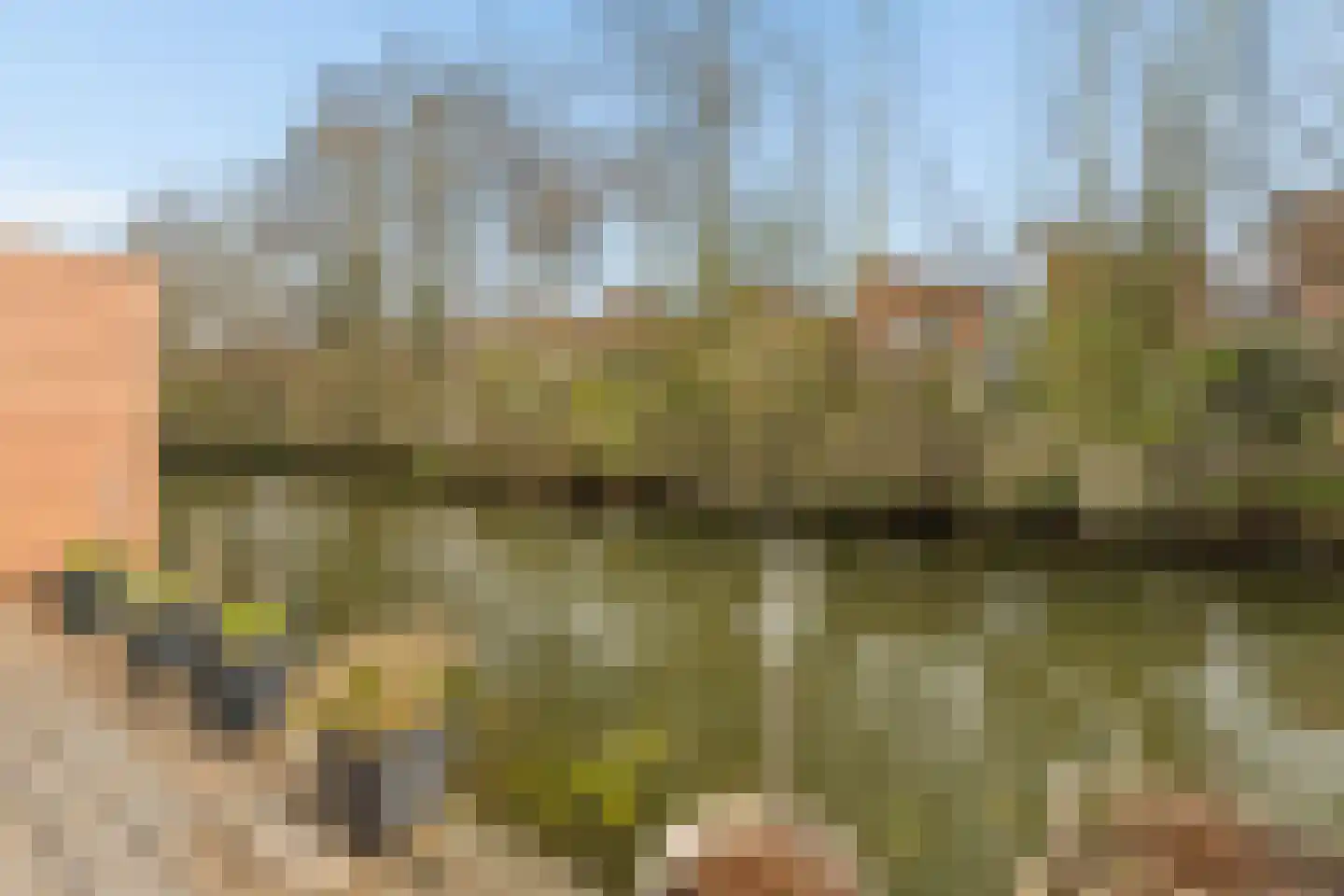 Diana 4 Bemmel thumbnail 50