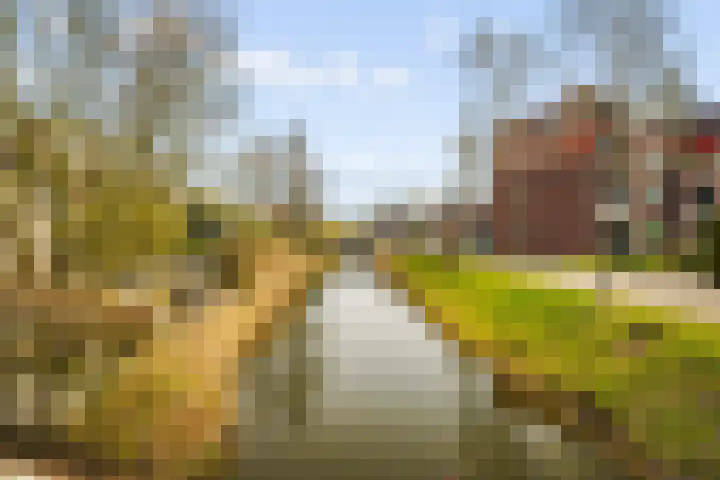 Diana 4 Bemmel thumbnail 54