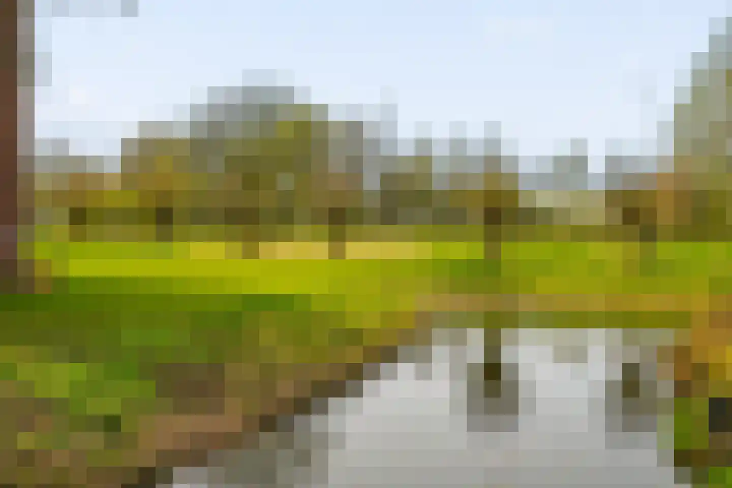 Diana 4 Bemmel thumbnail 55