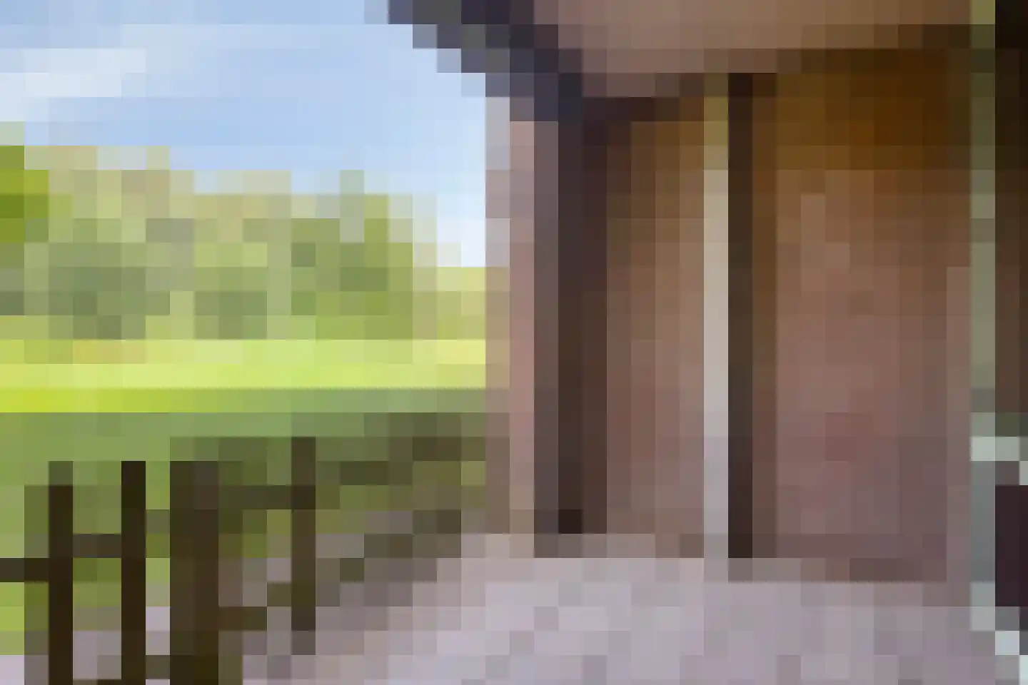 Diana 74 Bemmel thumbnail 15