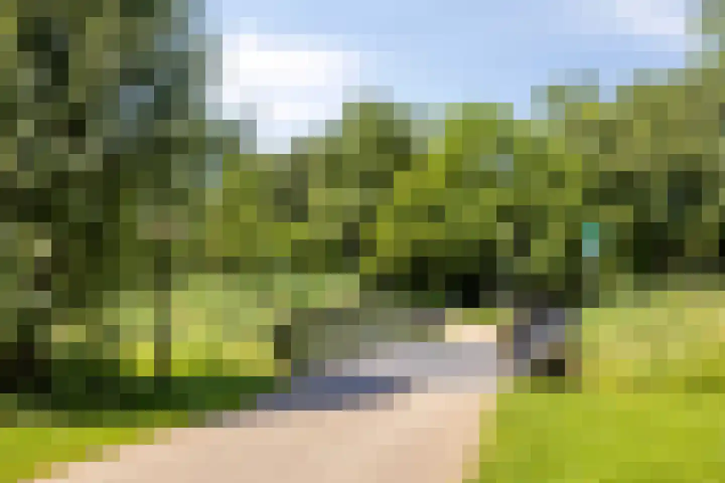 Diana 74 Bemmel thumbnail 23