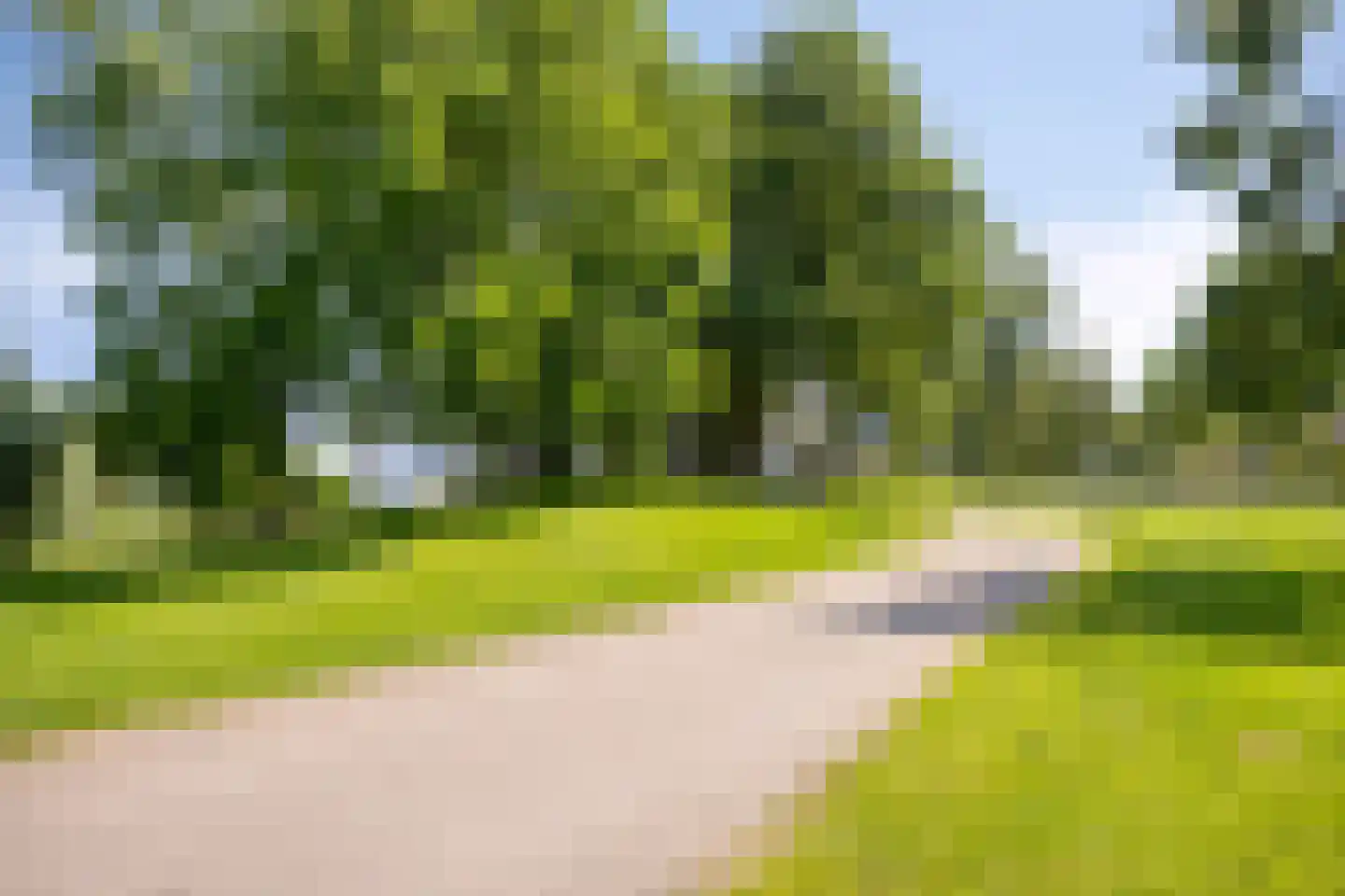 Diana 74 Bemmel thumbnail 24