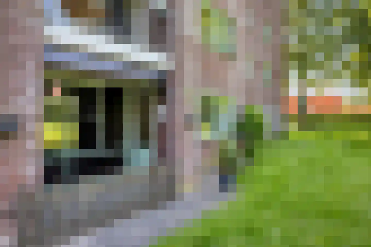 Diana 74 Bemmel thumbnail 5