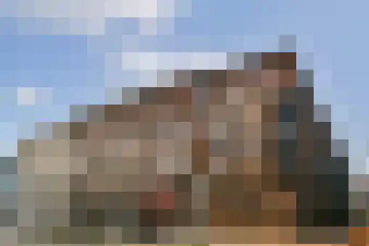 Foto van Diana Pouwelse