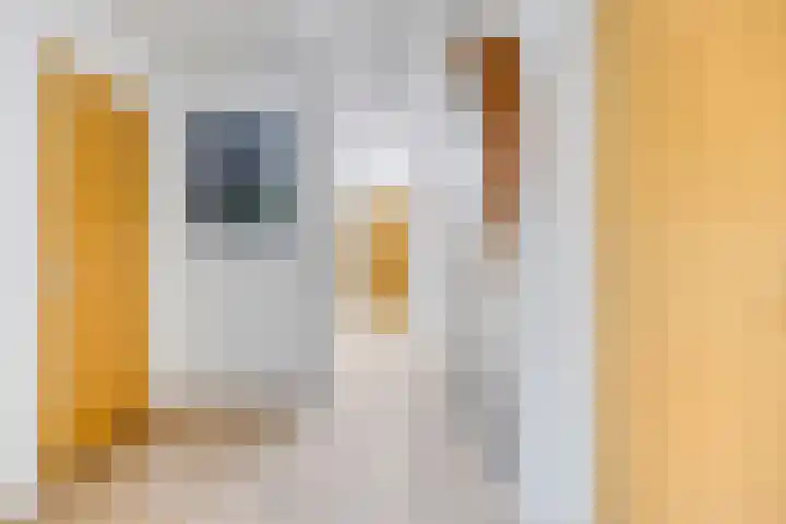 Dianabos 9 Boxtel thumbnail 13