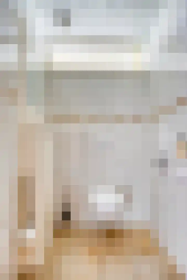 Dianabos 9 Boxtel thumbnail 14
